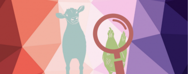 An image of a cow and a chicken set against a pastel background. The chicken is looking through a magnifying glass.